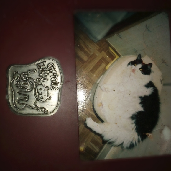 Happy chilcatt - Picture 4 of 7